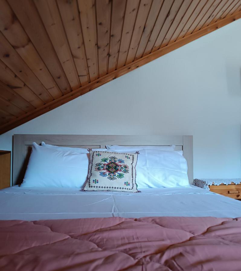 Cozy Loft With Fireplace & View Metsovo Exterior foto